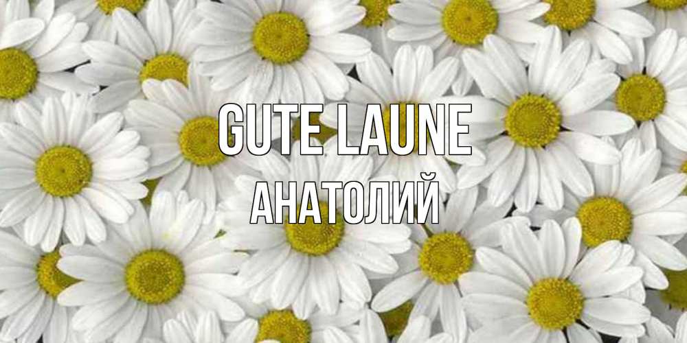 Открытка на каждый день с именем, Анатолий Gute Laune поляна ромашек Прикольная открытка с пожеланием онлайн скачать бесплатно 