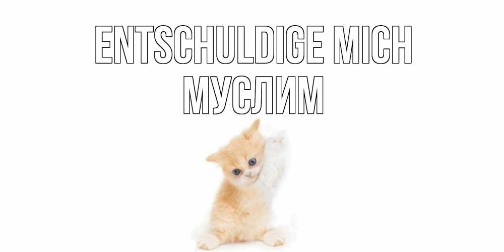Открытка на каждый день с именем, Муслим Entschuldige mich кот Прикольная открытка с пожеланием онлайн скачать бесплатно 