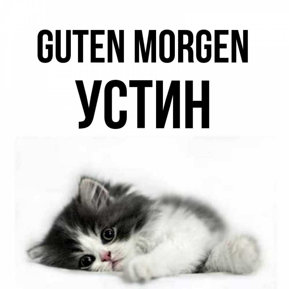 Открытка на каждый день с именем, Устин Guten Morgen кот лапки Прикольная открытка с пожеланием онлайн скачать бесплатно 