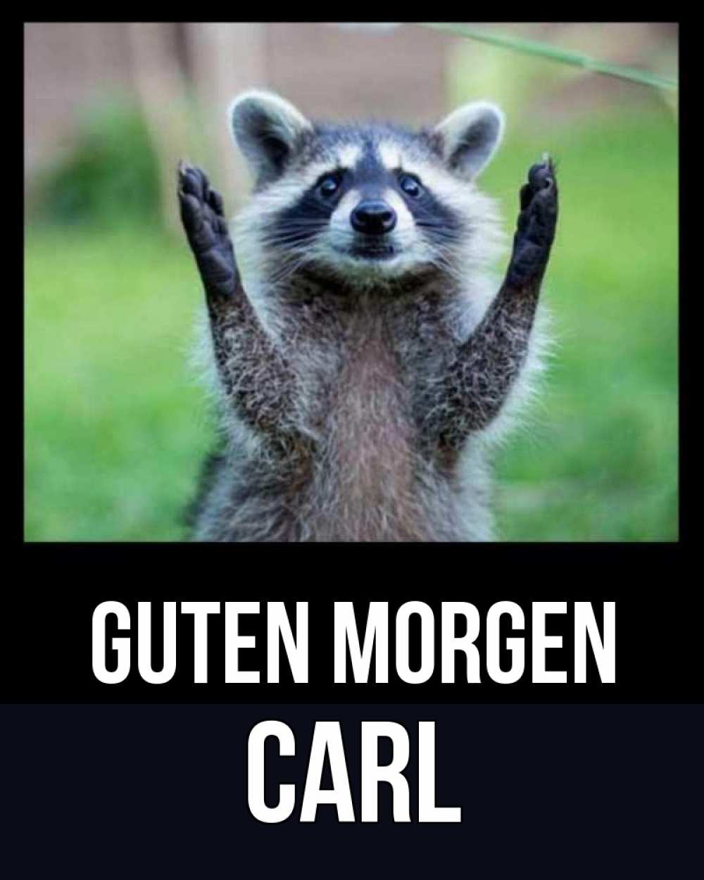 Открытка на каждый день с именем, Carl Guten Morgen хорошее настроение утречком Прикольная открытка с пожеланием онлайн скачать бесплатно 