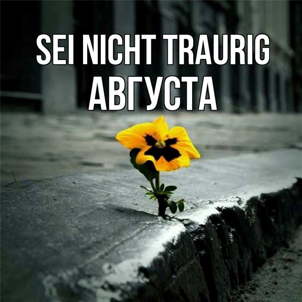 Открытка на каждый день с именем, Августа Sei nicht traurig не сдавайся Прикольная открытка с пожеланием онлайн скачать бесплатно 