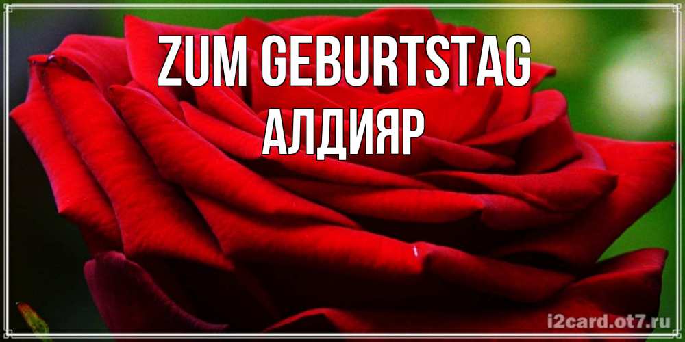 Открытка на каждый день с именем, Алдияр Zum Geburtstag розочка очень красивая Прикольная открытка с пожеланием онлайн скачать бесплатно 