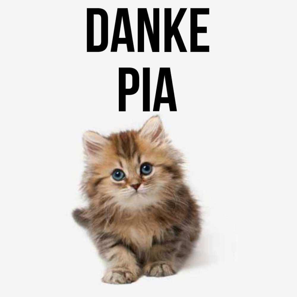 Открытка на каждый день с именем, Pia Danke пушистый котик Прикольная открытка с пожеланием онлайн скачать бесплатно 