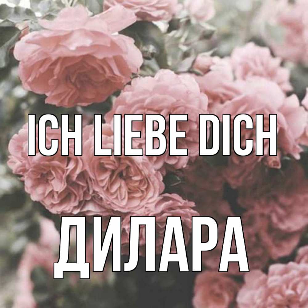 Открытка на каждый день с именем, Дилара Ich liebe dich розы 3 Прикольная открытка с пожеланием онлайн скачать бесплатно 