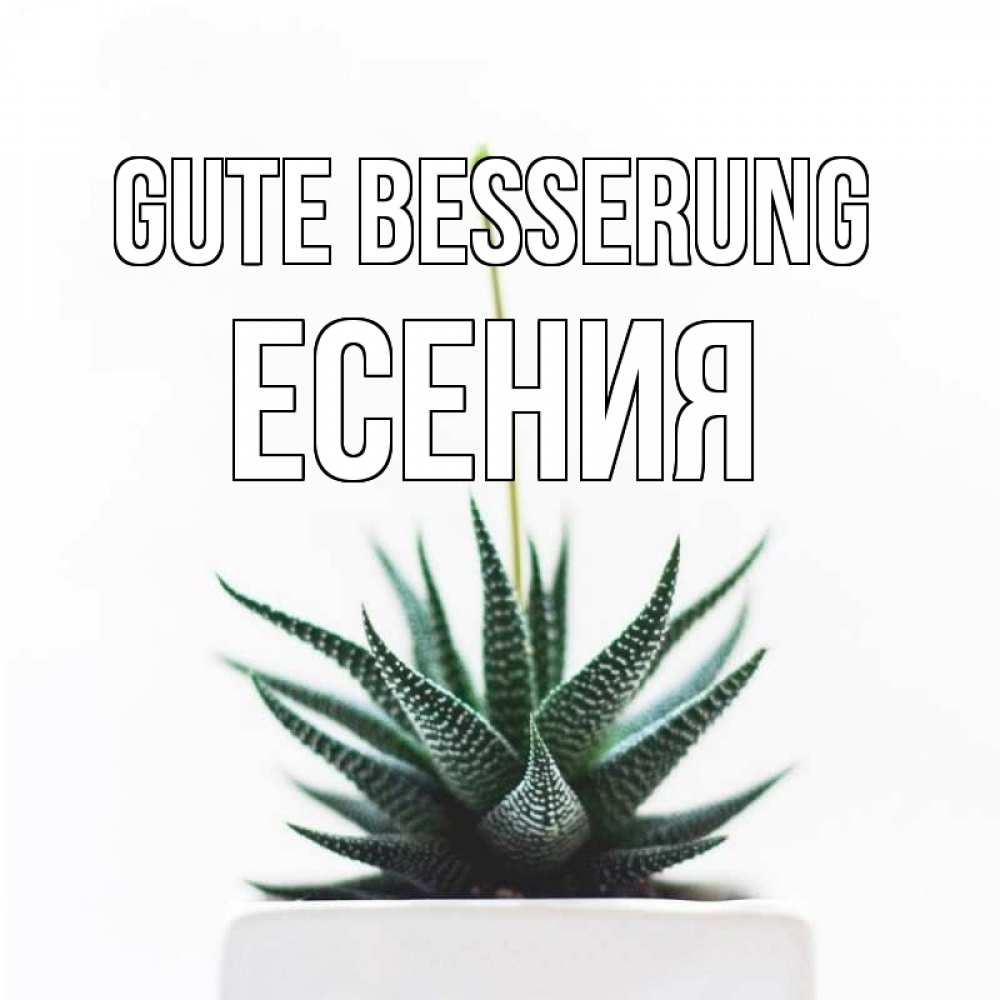 Открытка на каждый день с именем, Есения Gute Besserung короче это непонятная колючка Прикольная открытка с пожеланием онлайн скачать бесплатно 