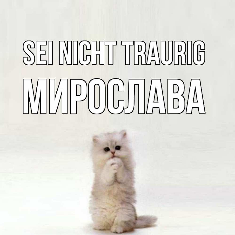 Открытка на каждый день с именем, Мирослава Sei nicht traurig грустный кот Прикольная открытка с пожеланием онлайн скачать бесплатно 