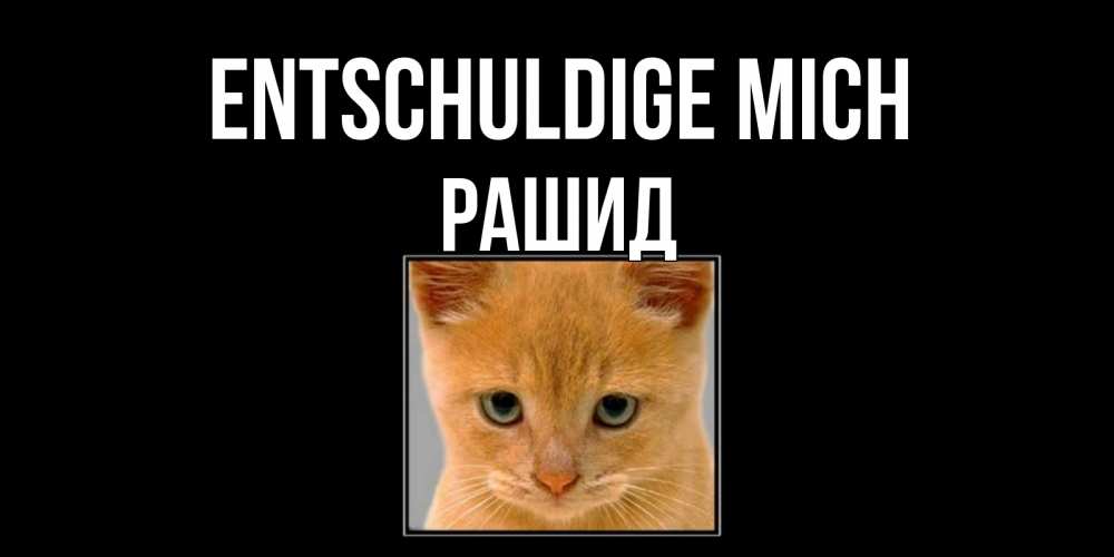 Открытка на каждый день с именем, Рашид Entschuldige mich рыжий грустный кот просит прощения Прикольная открытка с пожеланием онлайн скачать бесплатно 