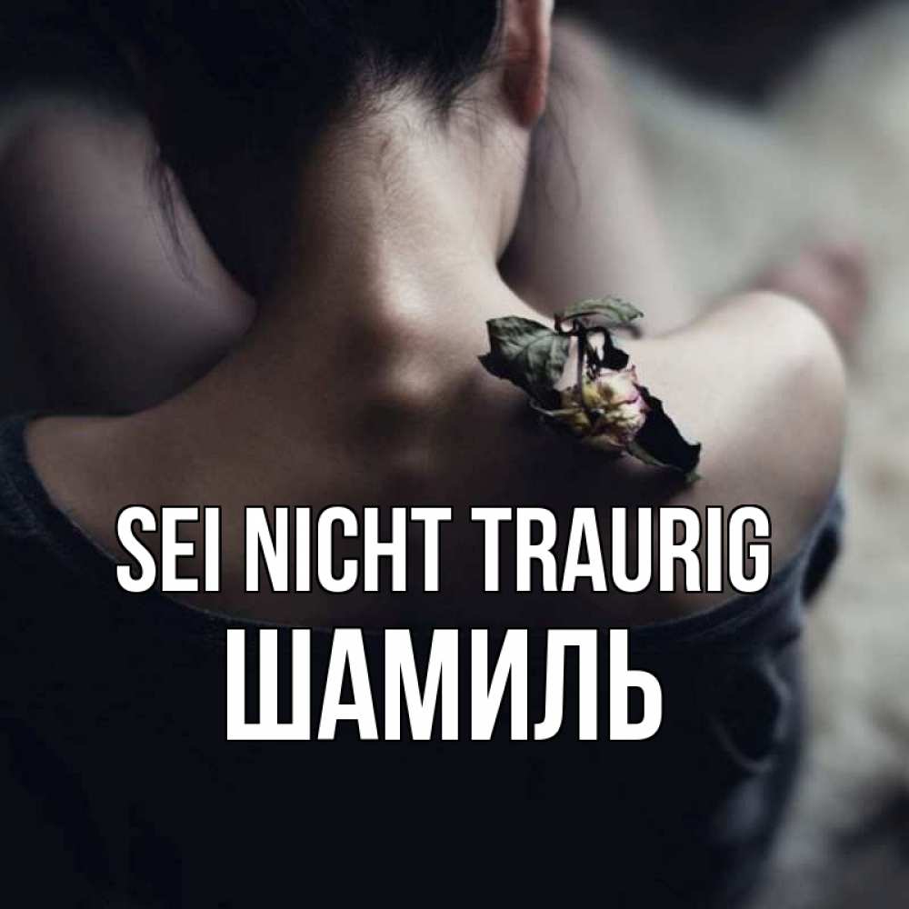 Открытка на каждый день с именем, Шамиль Sei nicht traurig девушка со спины Прикольная открытка с пожеланием онлайн скачать бесплатно 