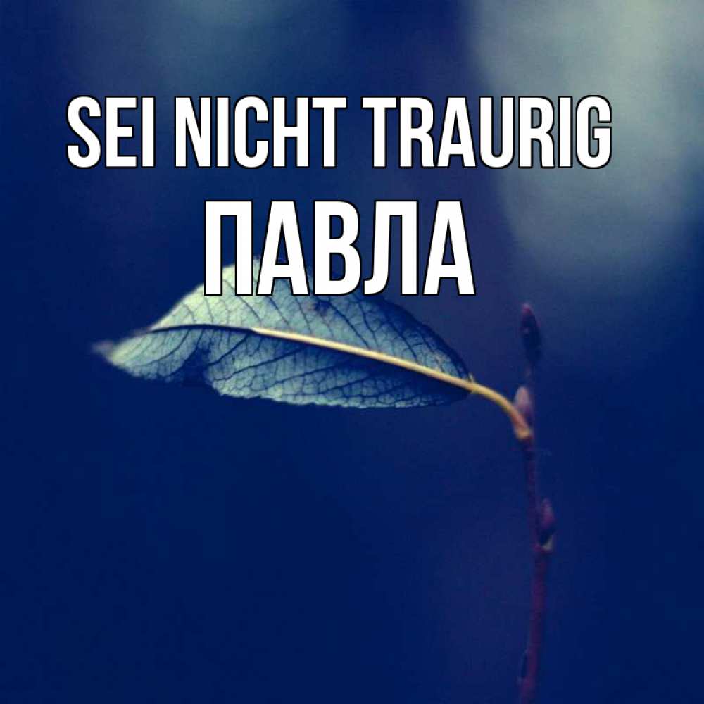 Открытка на каждый день с именем, Павла Sei nicht traurig растение Прикольная открытка с пожеланием онлайн скачать бесплатно 