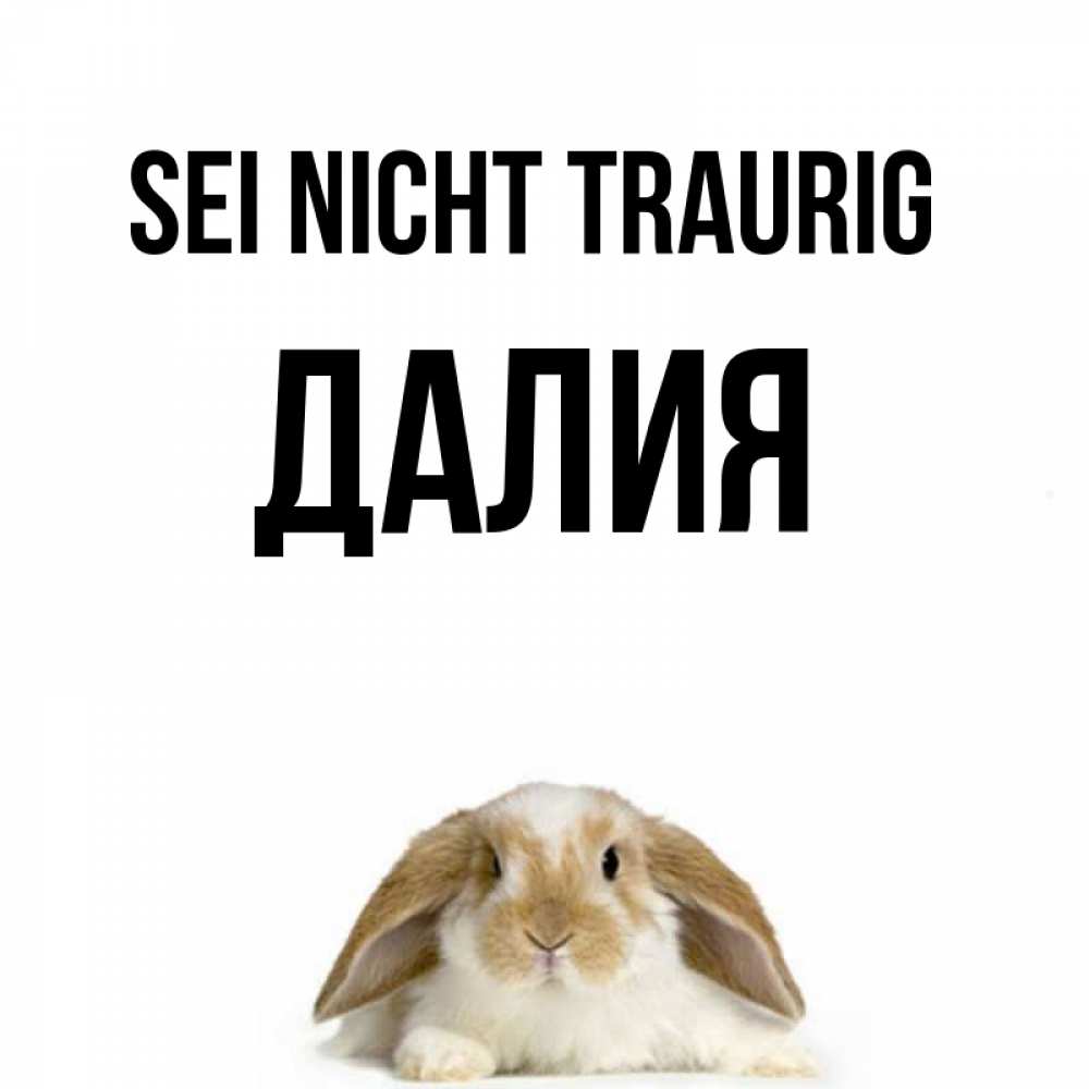 Открытка на каждый день с именем, Далия Sei nicht traurig коричнево белый заяц с большими ушками Прикольная открытка с пожеланием онлайн скачать бесплатно 