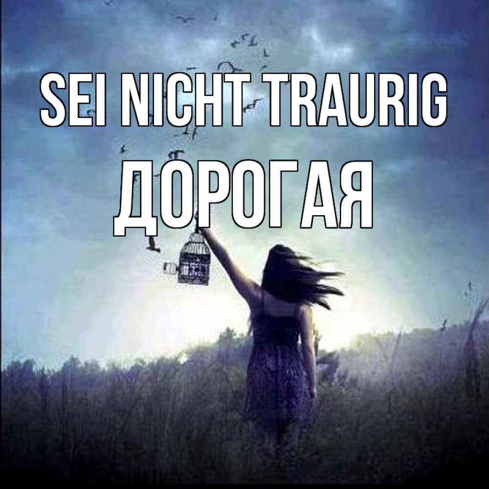 Открытка на каждый день с именем, Дорогая Sei nicht traurig на волю Прикольная открытка с пожеланием онлайн скачать бесплатно 