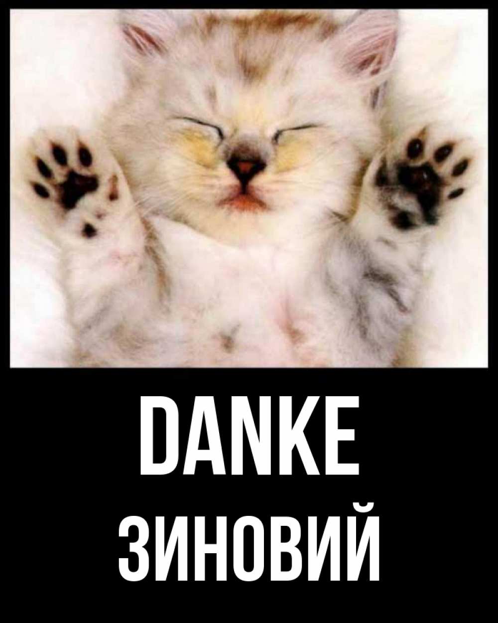 Открытка на каждый день с именем, Зиновий Danke маленький котенок Прикольная открытка с пожеланием онлайн скачать бесплатно 