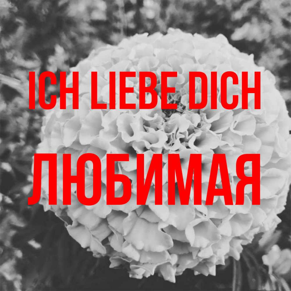 Открытка на каждый день с именем, Любимая Ich liebe dich подпись Прикольная открытка с пожеланием онлайн скачать бесплатно 