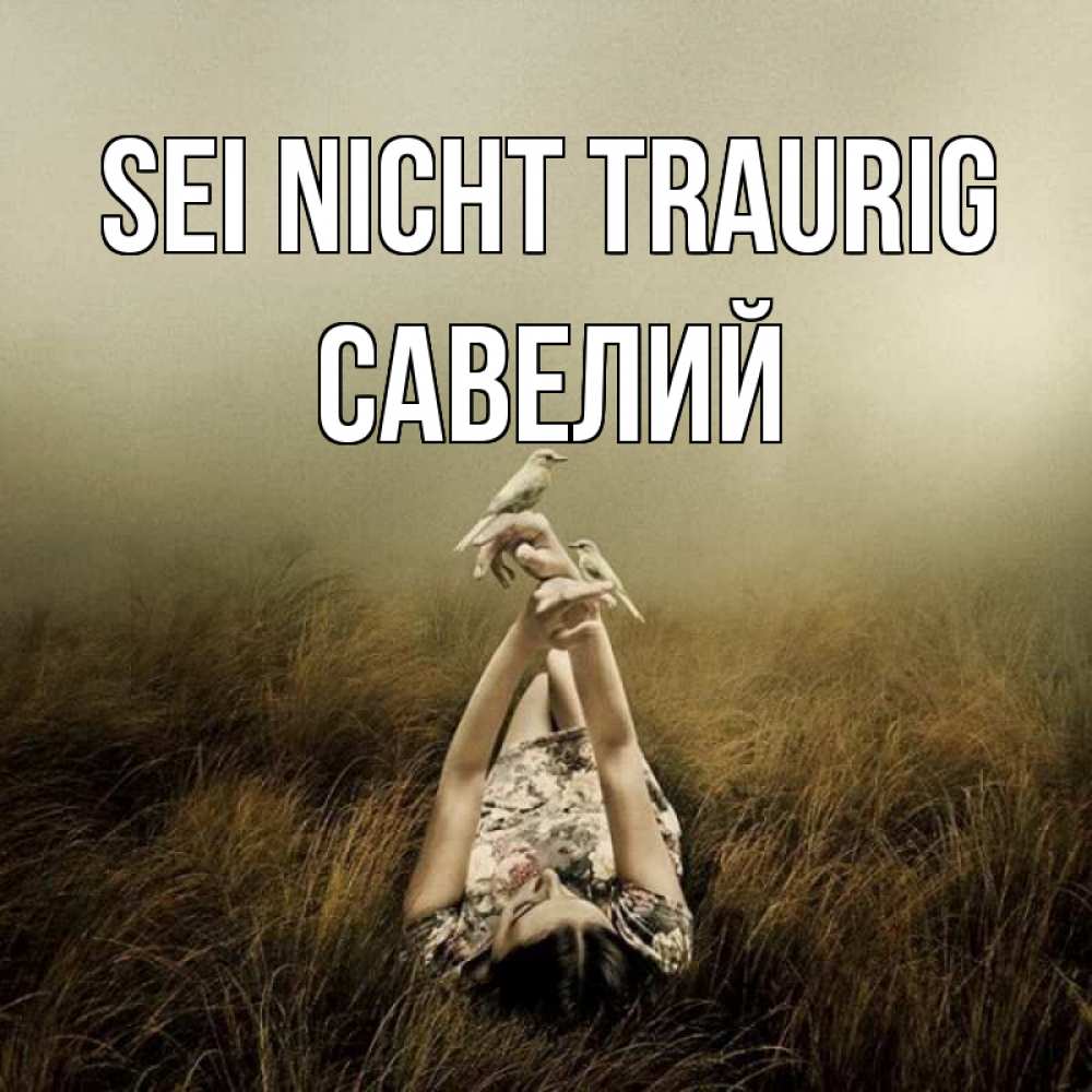 Открытка на каждый день с именем, Савелий Sei nicht traurig поле и туман Прикольная открытка с пожеланием онлайн скачать бесплатно 