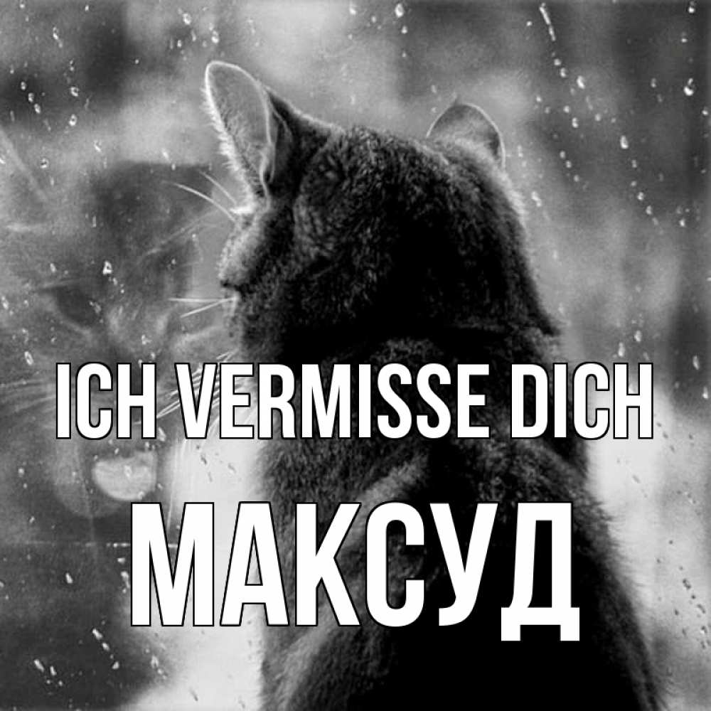 Открытка на каждый день с именем, Максуд Ich vermisse dich скорее ко мне приходи 1 Прикольная открытка с пожеланием онлайн скачать бесплатно 