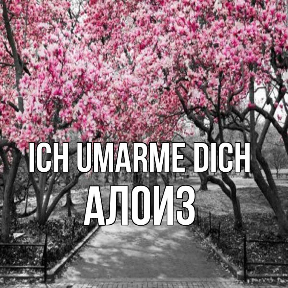 Открытка на каждый день с именем, Алоиз Ich umarme dich обработанное фото Прикольная открытка с пожеланием онлайн скачать бесплатно 