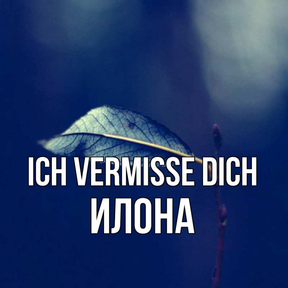 Открытка на каждый день с именем, Илона Ich vermisse dich одна ветка 1 Прикольная открытка с пожеланием онлайн скачать бесплатно 