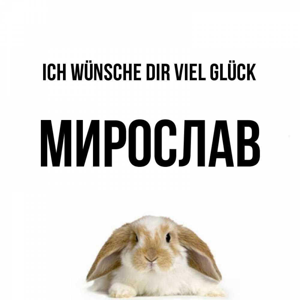 Открытка на каждый день с именем, Мирослав Ich wünsche dir viel Glück открытки с произвольным текстом который можно вставить в открытку и создать ее самостоятельно бесплатно онлайн Прикольная открытка с пожеланием онлайн скачать бесплатно 