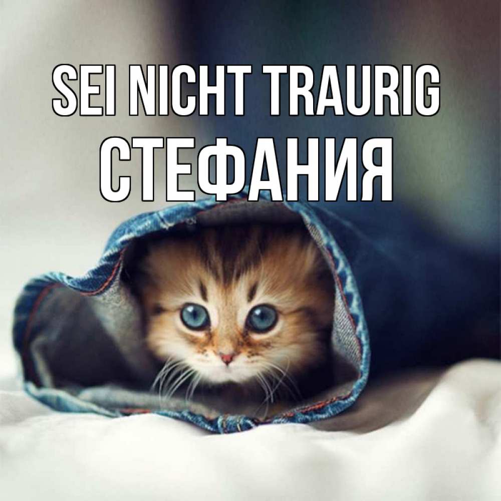 Открытка на каждый день с именем, Стефания Sei nicht traurig кот в одежде Прикольная открытка с пожеланием онлайн скачать бесплатно 