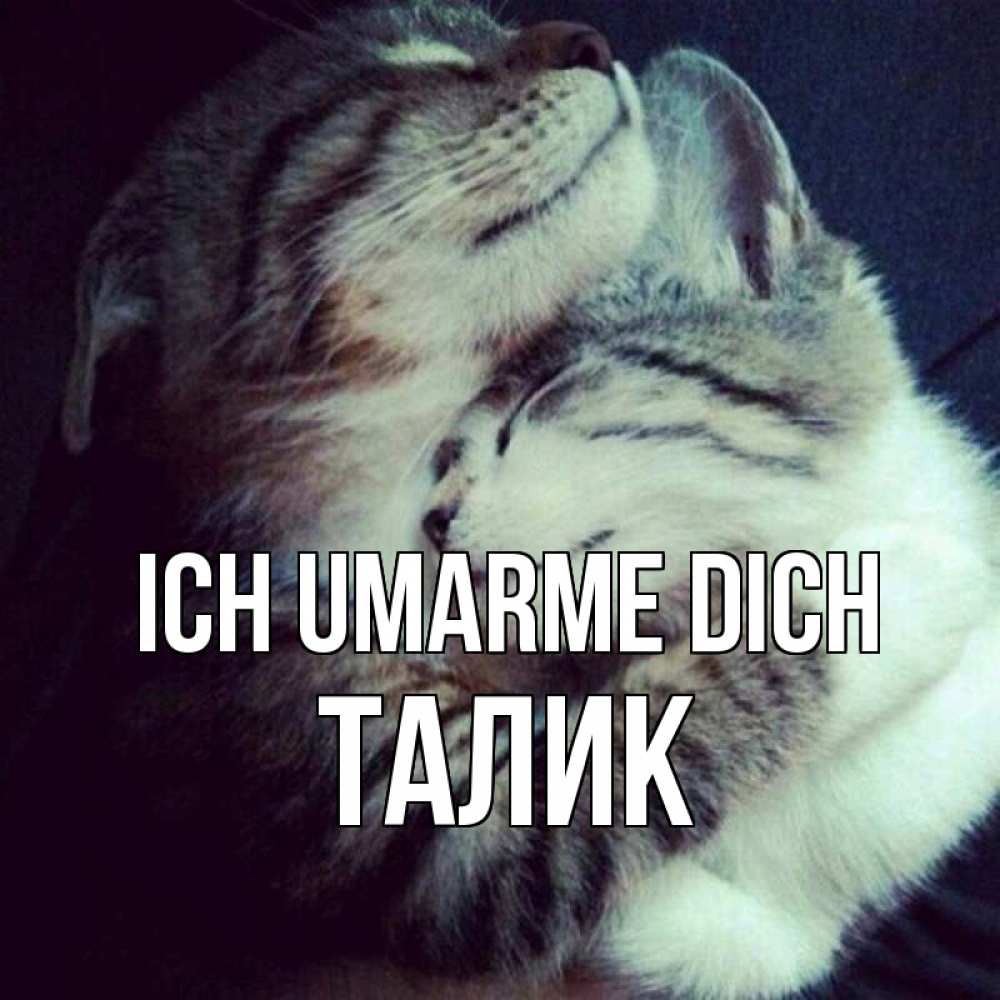 Открытка на каждый день с именем, Талик Ich umarme dich полосатики Прикольная открытка с пожеланием онлайн скачать бесплатно 