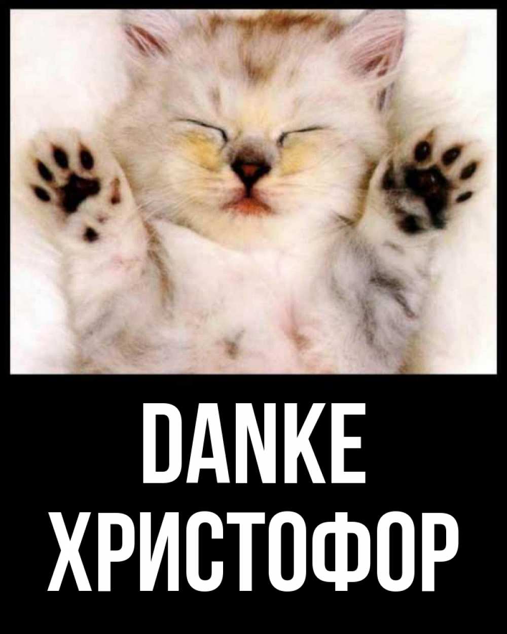 Открытка на каждый день с именем, Христофор Danke маленький котенок Прикольная открытка с пожеланием онлайн скачать бесплатно 