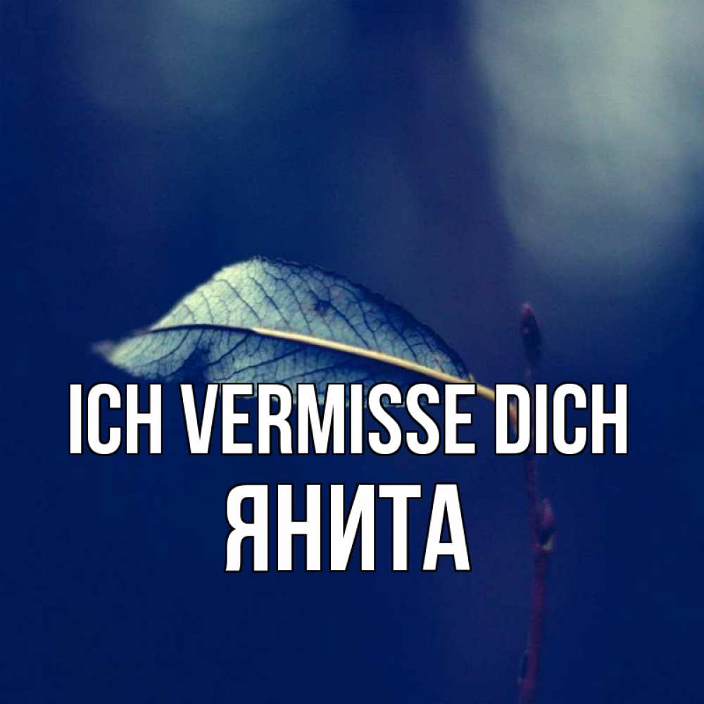 Открытка на каждый день с именем, Янита Ich vermisse dich одна ветка 1 Прикольная открытка с пожеланием онлайн скачать бесплатно 