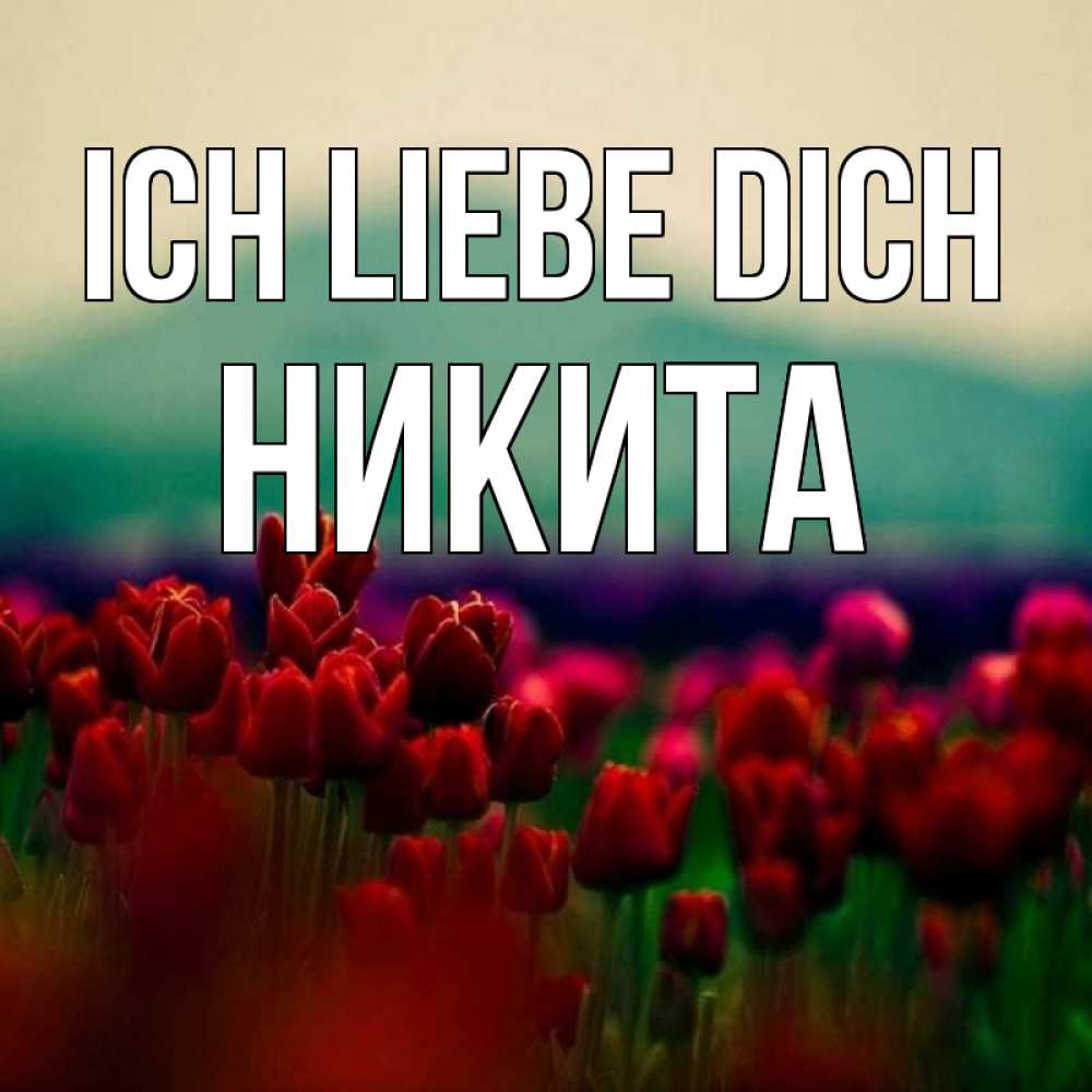 Открытка на каждый день с именем, Никита Ich liebe dich тюльпаны 4 Прикольная открытка с пожеланием онлайн скачать бесплатно 
