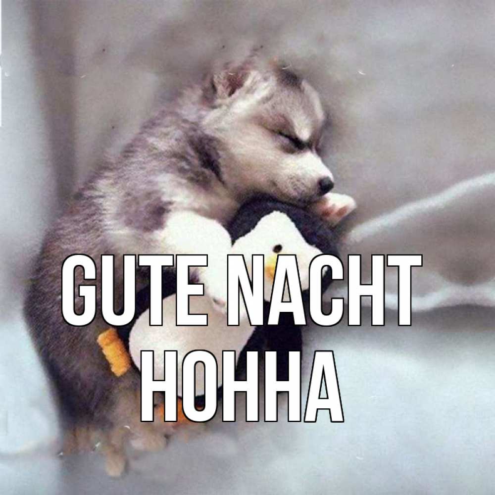 Открытка на каждый день с именем, Нонна Gute Nacht обнимашки щенка и пингвина Прикольная открытка с пожеланием онлайн скачать бесплатно 