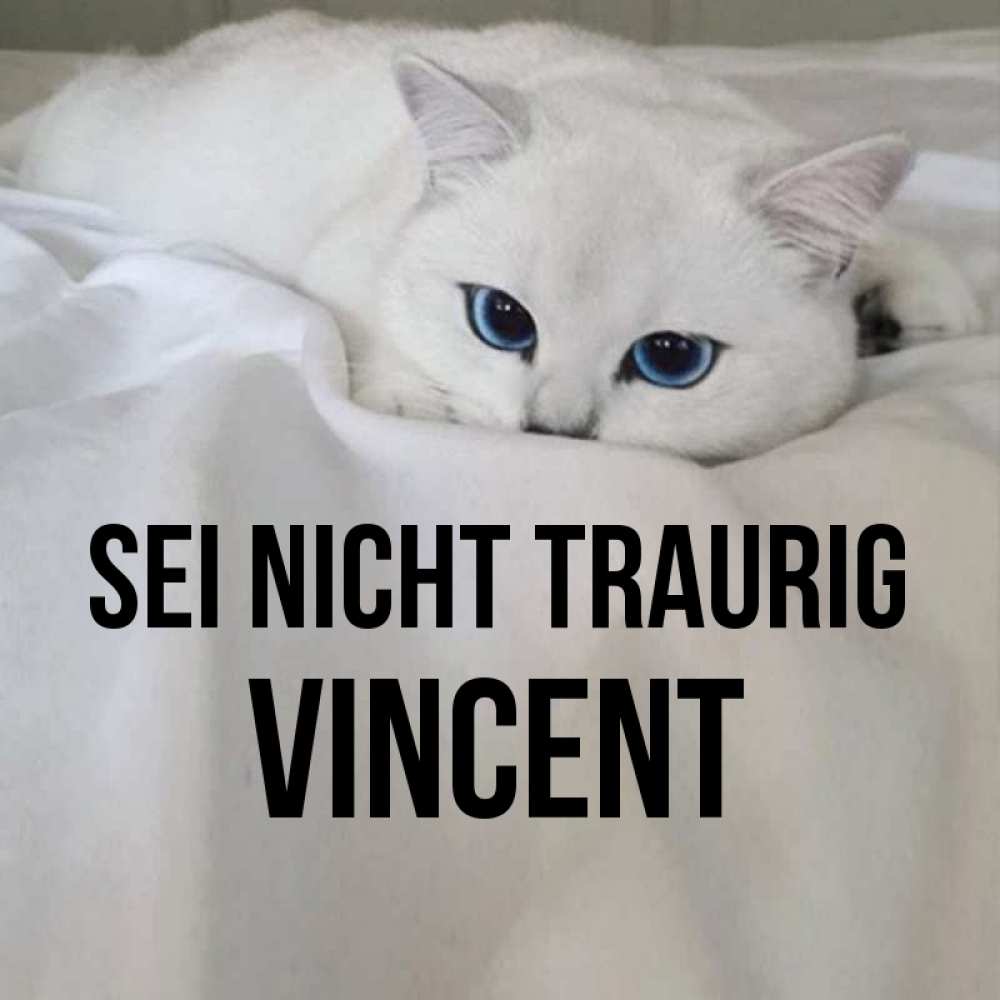 Открытка на каждый день с именем, Vincent Sei nicht traurig Голубоглазая кошка Прикольная открытка с пожеланием онлайн скачать бесплатно 