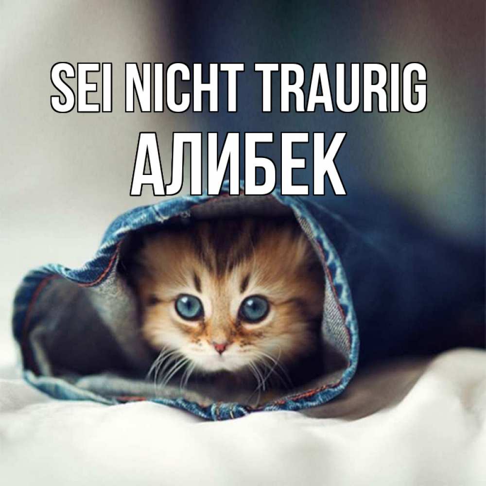 Открытка на каждый день с именем, Алибек Sei nicht traurig кот в одежде Прикольная открытка с пожеланием онлайн скачать бесплатно 