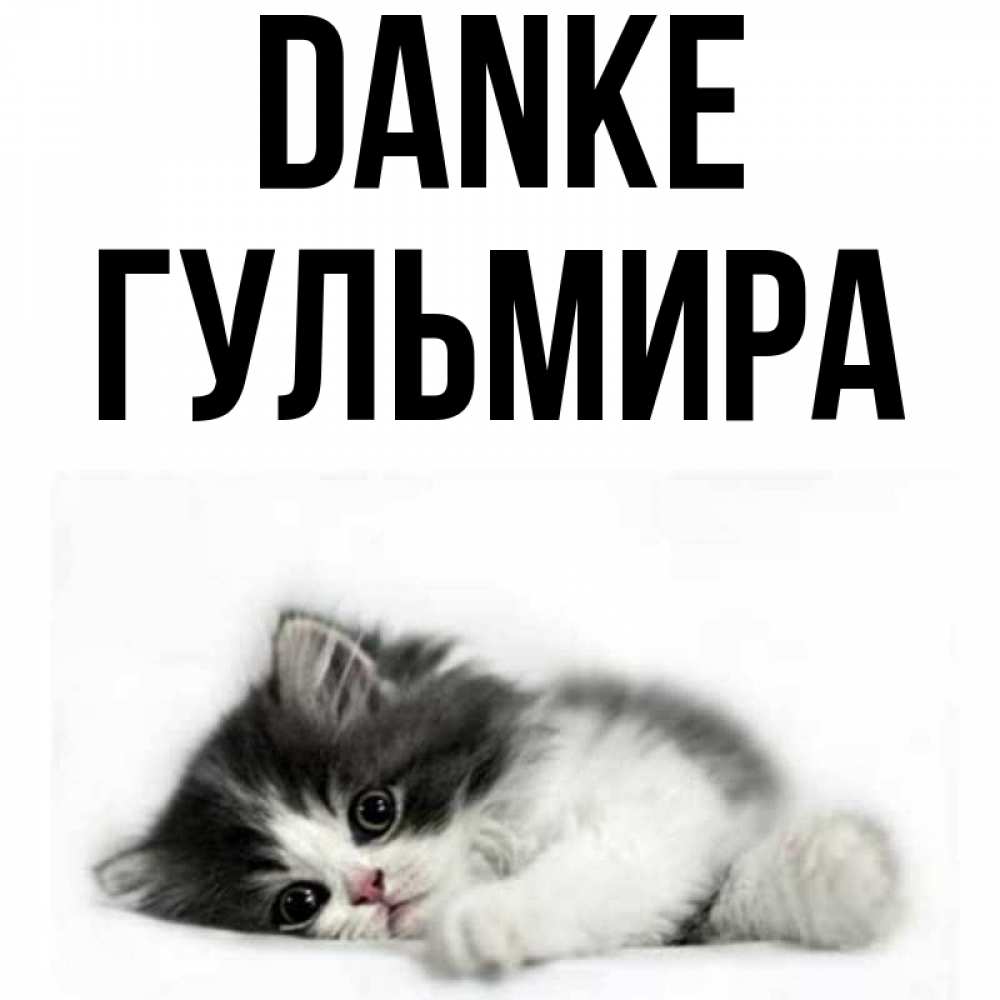 Открытка на каждый день с именем, Гульмира Danke черный и белый кот Прикольная открытка с пожеланием онлайн скачать бесплатно 