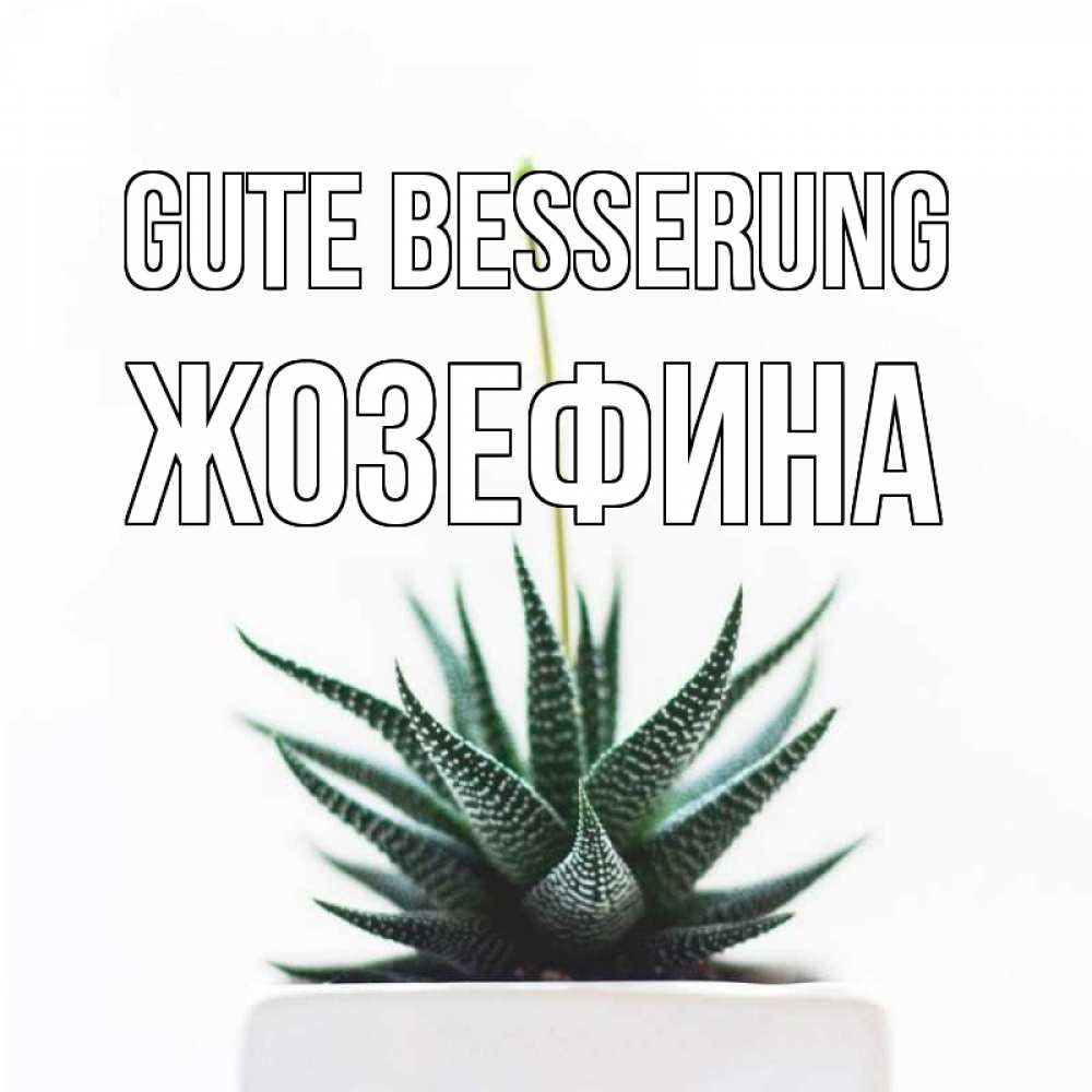 Открытка на каждый день с именем, Жозефина Gute Besserung короче это непонятная колючка Прикольная открытка с пожеланием онлайн скачать бесплатно 