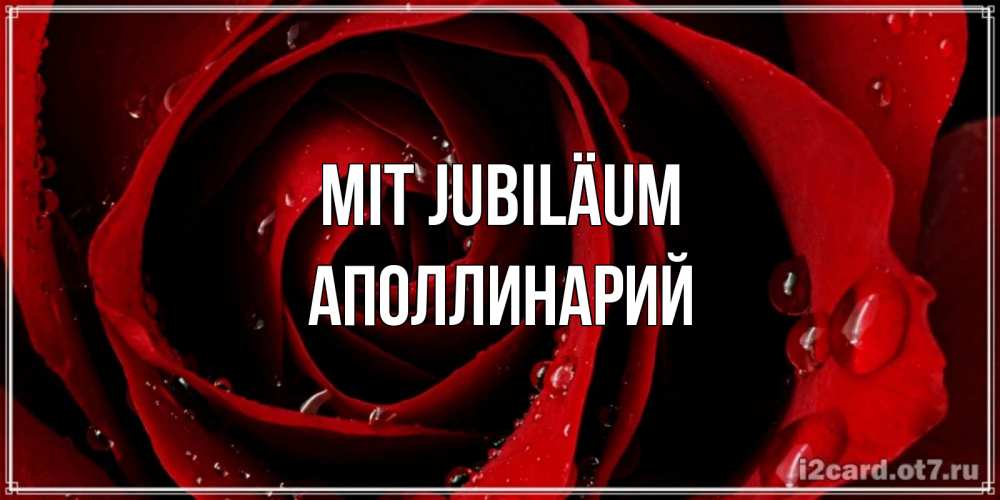 Открытка на каждый день с именем, Аполлинарий Mit Jubiläum крупная бордовая роза Прикольная открытка с пожеланием онлайн скачать бесплатно 