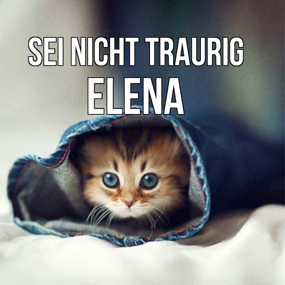 Открытка на каждый день с именем, Elena Sei nicht traurig рыжик котик Прикольная открытка с пожеланием онлайн скачать бесплатно 