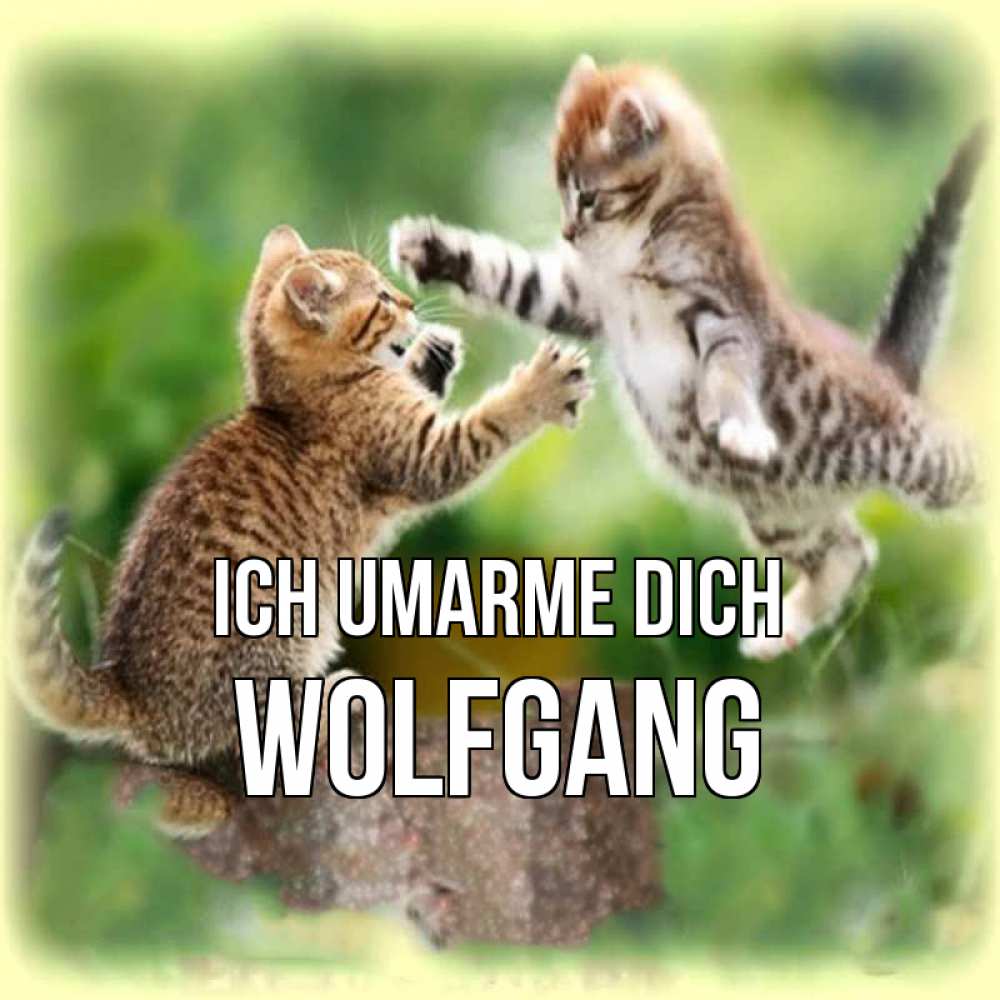 Открытка на каждый день с именем, Wolfgang Ich umarme dich игры котят Прикольная открытка с пожеланием онлайн скачать бесплатно 