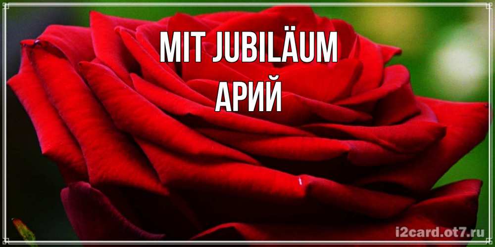 Открытка на каждый день с именем, Арий Mit Jubiläum розочка очень красивая Прикольная открытка с пожеланием онлайн скачать бесплатно 