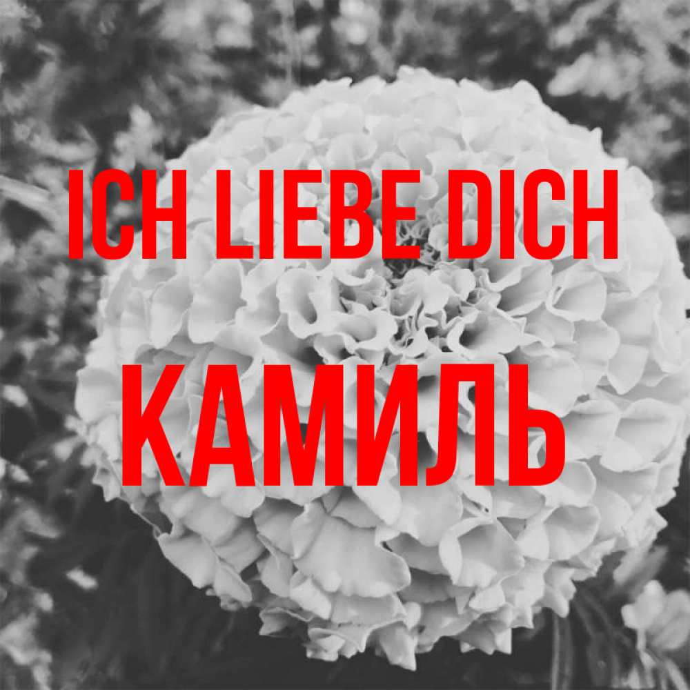 Открытка на каждый день с именем, Камиль Ich liebe dich подпись Прикольная открытка с пожеланием онлайн скачать бесплатно 