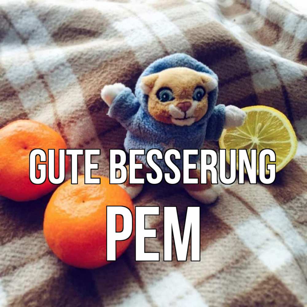 Открытка на каждый день с именем, Рем Gute Besserung вот тебе апельсинка и лимон Прикольная открытка с пожеланием онлайн скачать бесплатно 