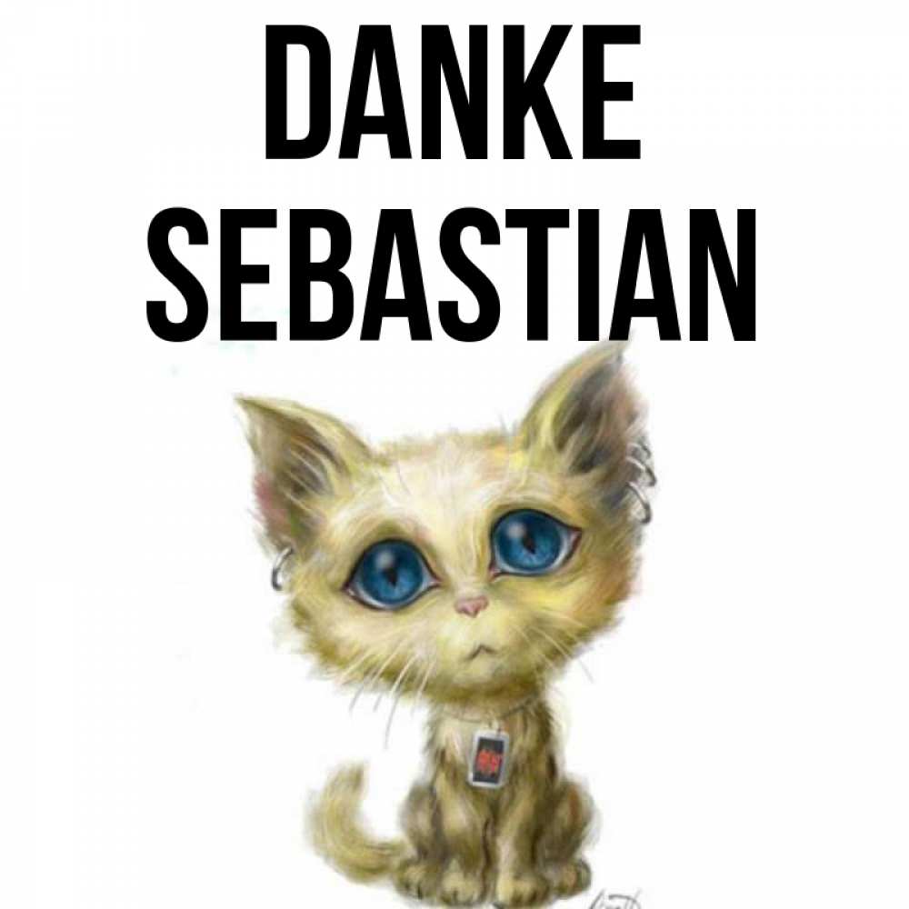 Открытка на каждый день с именем, Sebastian Danke рисованный кот благодарит вас Прикольная открытка с пожеланием онлайн скачать бесплатно 