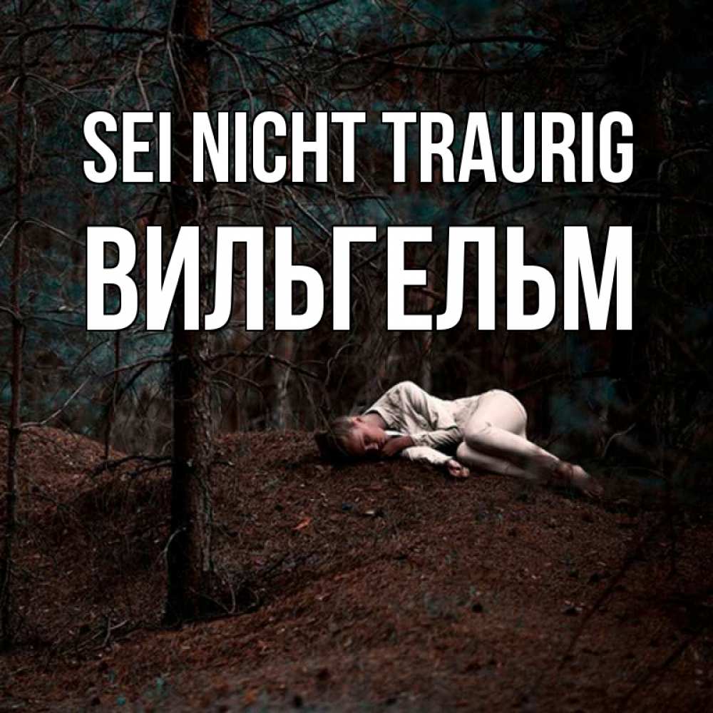 Открытка на каждый день с именем, Вильгельм Sei nicht traurig лес Прикольная открытка с пожеланием онлайн скачать бесплатно 