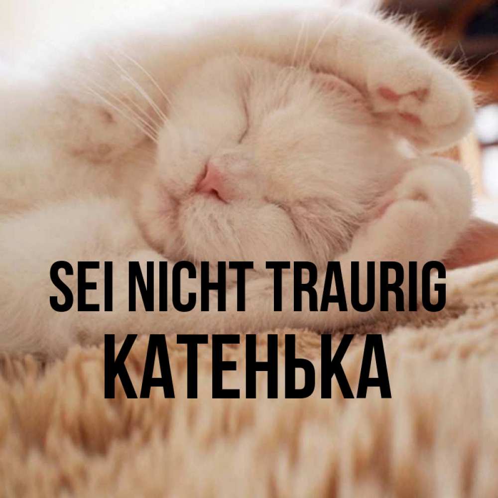 Открытка на каждый день с именем, Катенька Sei nicht traurig Котенок спит Прикольная открытка с пожеланием онлайн скачать бесплатно 
