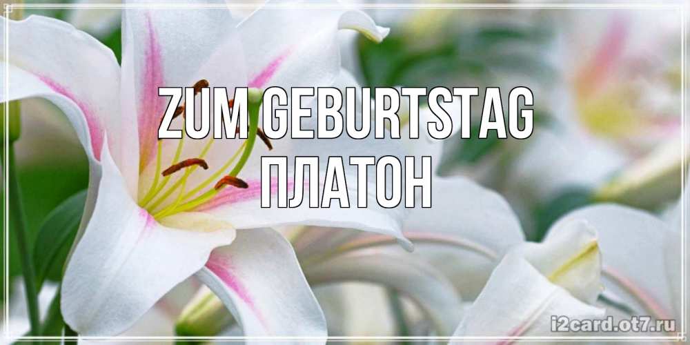 Открытка на каждый день с именем, Платон Zum Geburtstag открытка с белой лилией Прикольная открытка с пожеланием онлайн скачать бесплатно 