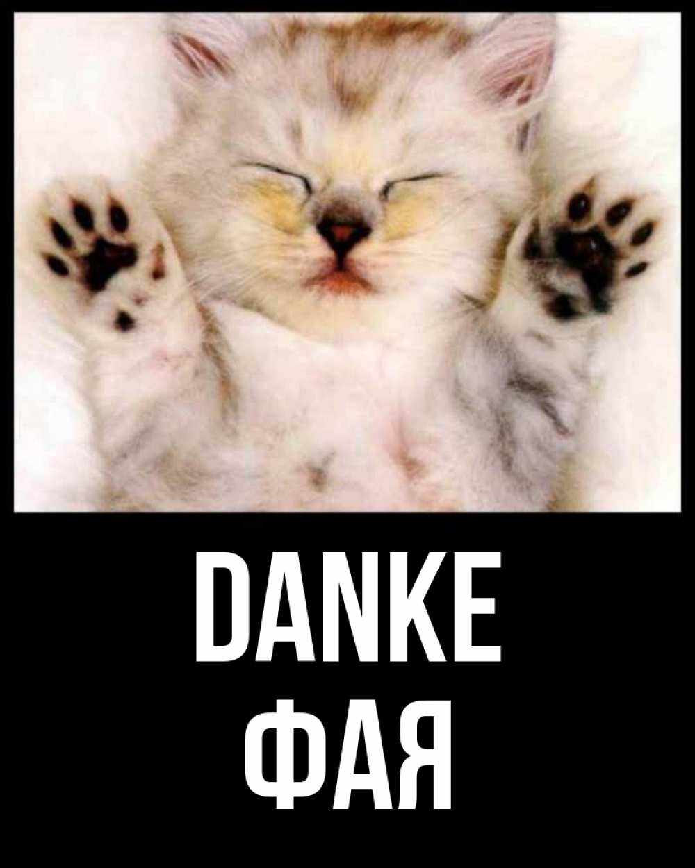 Открытка на каждый день с именем, Фая Danke маленький котенок Прикольная открытка с пожеланием онлайн скачать бесплатно 