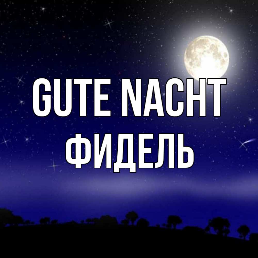 Открытка на каждый день с именем, Фидель Gute Nacht ночное небо и лесная опушка при свете луны Прикольная открытка с пожеланием онлайн скачать бесплатно 