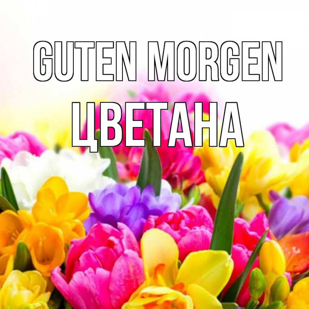 Открытка на каждый день с именем, Цветана Guten Morgen создать открытку со свое подписью Прикольная открытка с пожеланием онлайн скачать бесплатно 