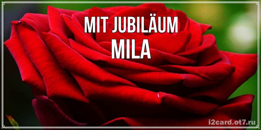 Открытка на каждый день с именем, Mila Mit Jubiläum розочка очень красивая Прикольная открытка с пожеланием онлайн скачать бесплатно 