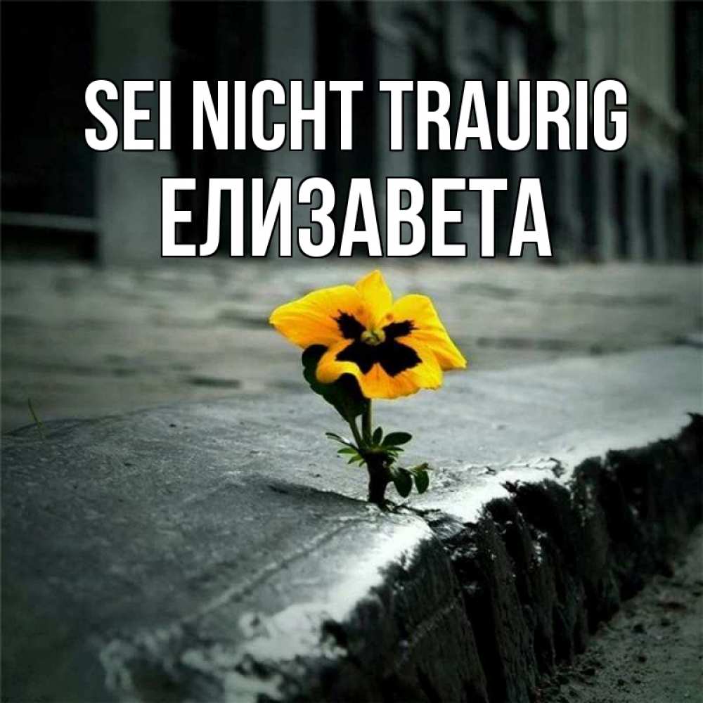 Открытка на каждый день с именем, Елизавета Sei nicht traurig не сдавайся Прикольная открытка с пожеланием онлайн скачать бесплатно 