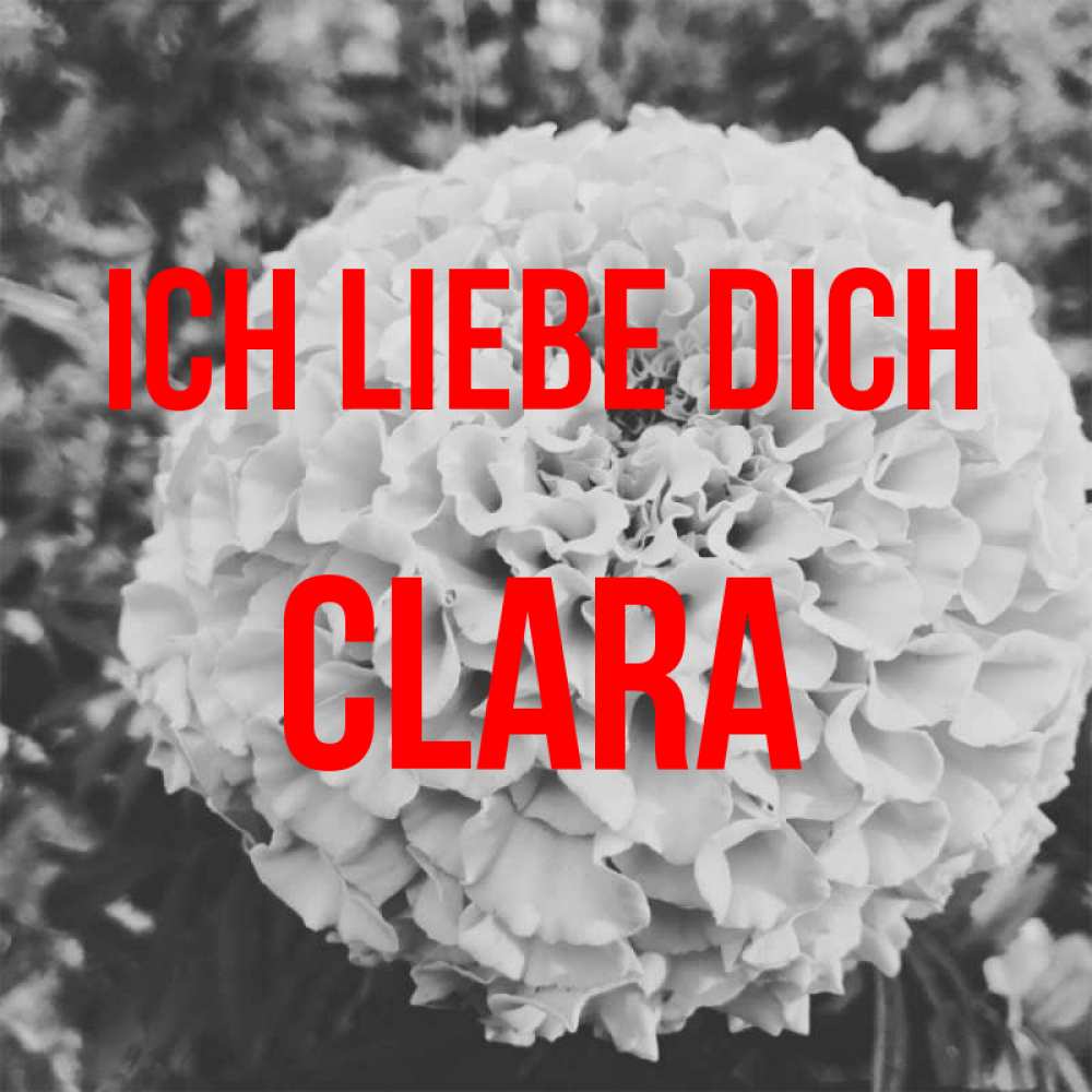 Открытка на каждый день с именем, Clara Ich liebe dich подпись Прикольная открытка с пожеланием онлайн скачать бесплатно 