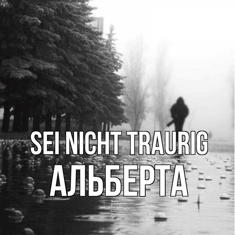 Открытка на каждый день с именем, Альберта Sei nicht traurig улица под дождем Прикольная открытка с пожеланием онлайн скачать бесплатно 