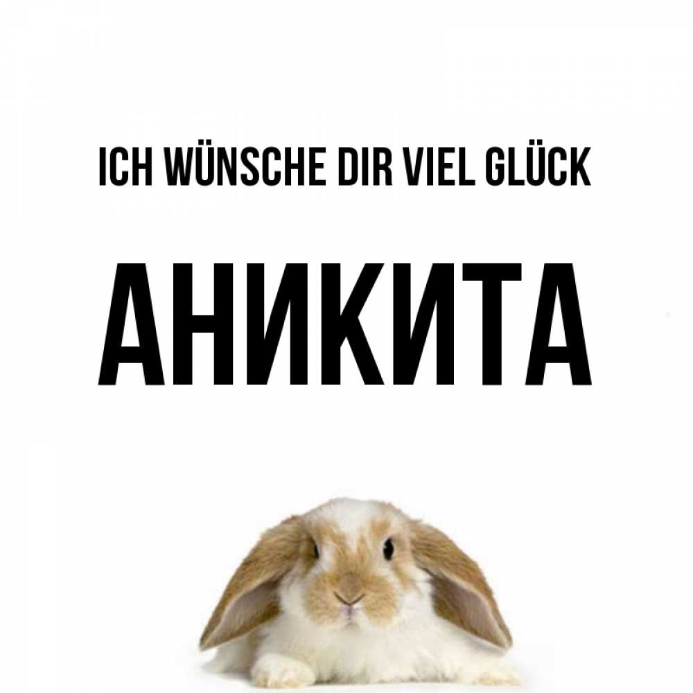 Открытка на каждый день с именем, Аникита Ich wünsche dir viel Glück открытки с произвольным текстом который можно вставить в открытку и создать ее самостоятельно бесплатно онлайн Прикольная открытка с пожеланием онлайн скачать бесплатно 
